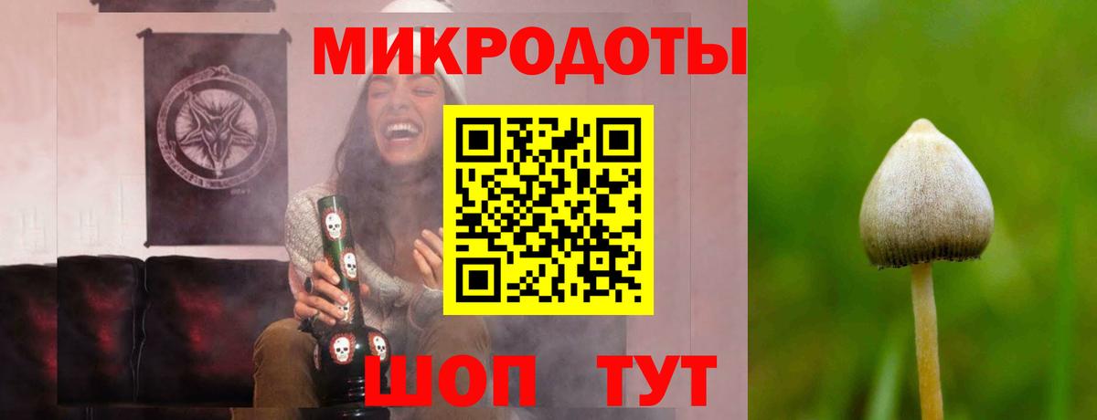Семилуки  Псилоцибиновые грибы MAGIC MUSHROOMS  Псилоцибиновые грибы Psilocybe  Вход с VPN 